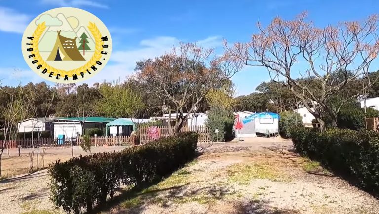 foto parcelas camping de cazalegas